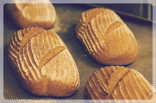 Bäckerei Obauer Salzburg