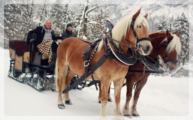 kutschenfahrt Salzburg