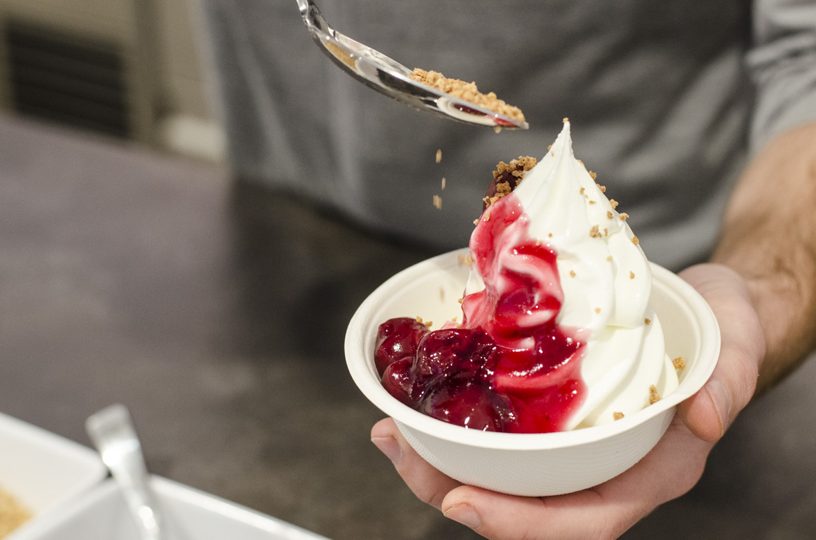 Fabi's Frozen Bio Yogurt